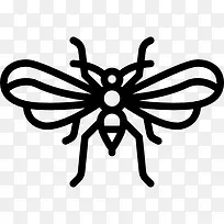 Psocoptera ͼ±ê-¿ÕÈôÍø Psocoptera ͼ±ê-¿ÕÈôÍø