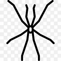 盲蛛目图标-空若网 盲蛛目图标-空若网