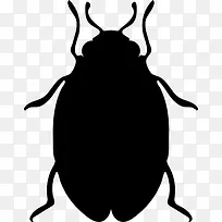 昆虫臭虫形状图标-空若网 昆虫臭虫形状图标-空若网