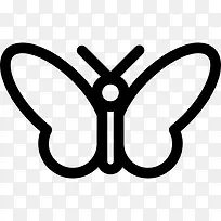 Buttterfly ͼ��-������