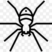 蜘蛛图标-空若网 蜘蛛图标-空若网