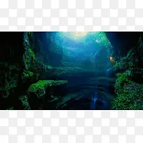 神秘的树色森里的树洞-空若网 神秘的树色森里的树洞-空若网