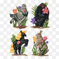 �����ֻ澫�¶���-������