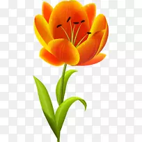 郁金香插花艺术-郁金香-空若网 郁金香插花艺术-郁金香-空若网