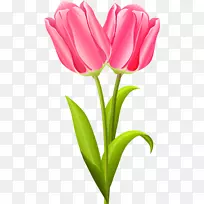 Çл¨Óô½ðÏ㿪»¨Ö²Îï»¨ÊøÓô½ðÏã-¿ÕÈôÍø Çл¨Óô½ðÏ㿪»¨Ö²Îï»¨ÊøÓô½ðÏã-¿ÕÈôÍø