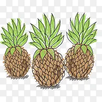 水果-空若网 水果-空若网