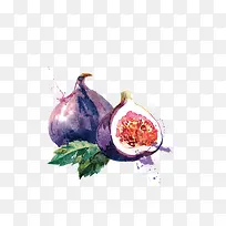水果 水彩 石榴 紫色-空若网 水果 水彩 石榴 紫色-空若网