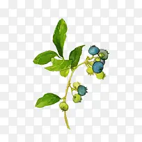 �ֻ���ɫˮ��ˮ��-������