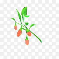 枸杞-空若网 枸杞-空若网