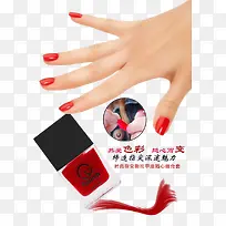 ��ɫָ����-������