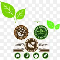 矢量叶子-空若网 矢量叶子-空若网