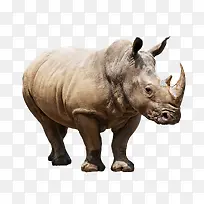 Ϭţ-������