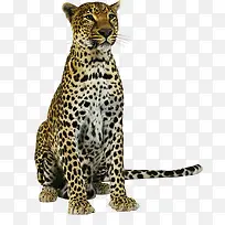 ��-������