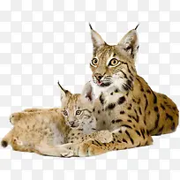 ��-������