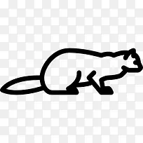 ����ͼ��-������