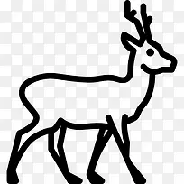 Roe ͼ��-������