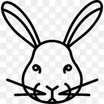 兔图标-空若网 兔图标-空若网