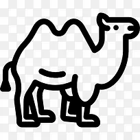 骆驼图标-空若网 骆驼图标-空若网