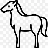 马图标-空若网 马图标-空若网