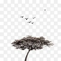 古树素材图-空若网 古树素材图-空若网