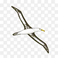 海鸥立体卡通-空若网 海鸥立体卡通-空若网