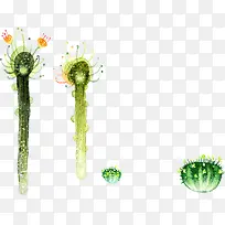 可爱绿色唯美仙人掌-空若网 可爱绿色唯美仙人掌-空若网