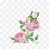 ˮ���ֻ�-������