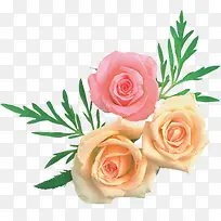 ��ɫˮ��õ�����-������