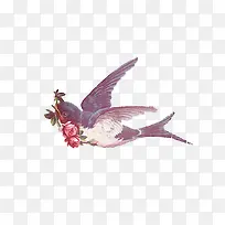 水彩鸟玫瑰花-空若网 水彩鸟玫瑰花-空若网