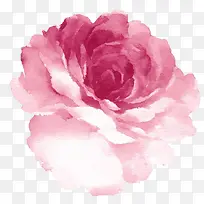 ˮ��õ�廨-������