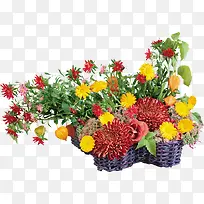 ������Ӱ��ɫ�Ļ���ֲ��-������