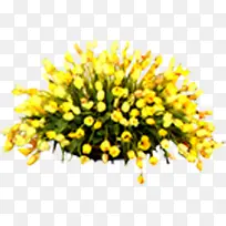 高清摄影合成效果黄色的花卉-空若网 高清摄影合成效果黄色的花卉-空若网