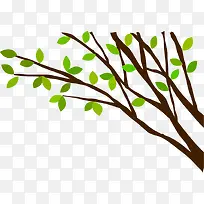 ���⺣����֦Ч��-������