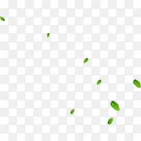 ��ͨ����ɰ���Ҷ-������