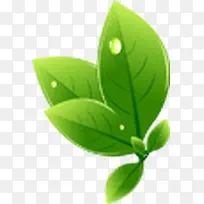绿色创意春姿树叶-空若网 绿色创意春姿树叶-空若网
