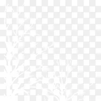 白色冬日树枝创意-空若网 白色冬日树枝创意-空若网