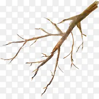 韩式树枝创意设计-空若网 韩式树枝创意设计-空若网