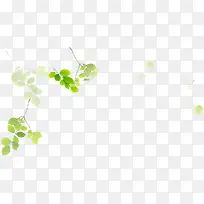 树枝创意朦胧设计-空若网 树枝创意朦胧设计-空若网