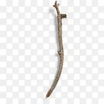 干枯指节创意树枝-空若网 干枯指节创意树枝-空若网