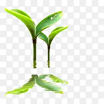 高清创意摄影合成小树苗-空若网 高清创意摄影合成小树苗-空若网