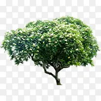 ����Ԫ����Ӱ�ϳɹ���-������