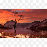 ���ո�ɽ�¶�С��-������