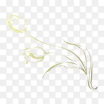 手绘郁金香-空若网 手绘郁金香-空若网