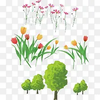 彩色郁金香-空若网 彩色郁金香-空若网