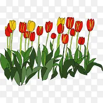 创意手绘卡通郁金香-空若网 创意手绘卡通郁金香-空若网