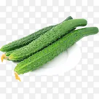 黄瓜 新鲜蔬菜-空若网 黄瓜 新鲜蔬菜-空若网