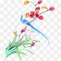 水彩兰花鸟矢量图-空若网 水彩兰花鸟矢量图-空若网