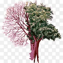 ÊÖ»æË®²ÊÉè¼Æ»¨Ô°-¿ÕÈôÍø ÊÖ»æË®²ÊÉè¼Æ»¨Ô°-¿ÕÈôÍø