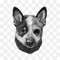 手绘动物-空若网 手绘动物-空若网