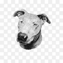 �ֻ涯��-������